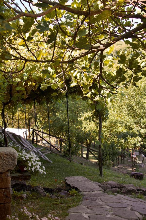 Pensjonat Borgo Casale Albareto  Zewnętrze zdjęcie